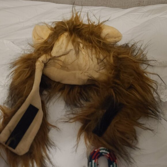 Dog Bundle - Picture 7 of 7